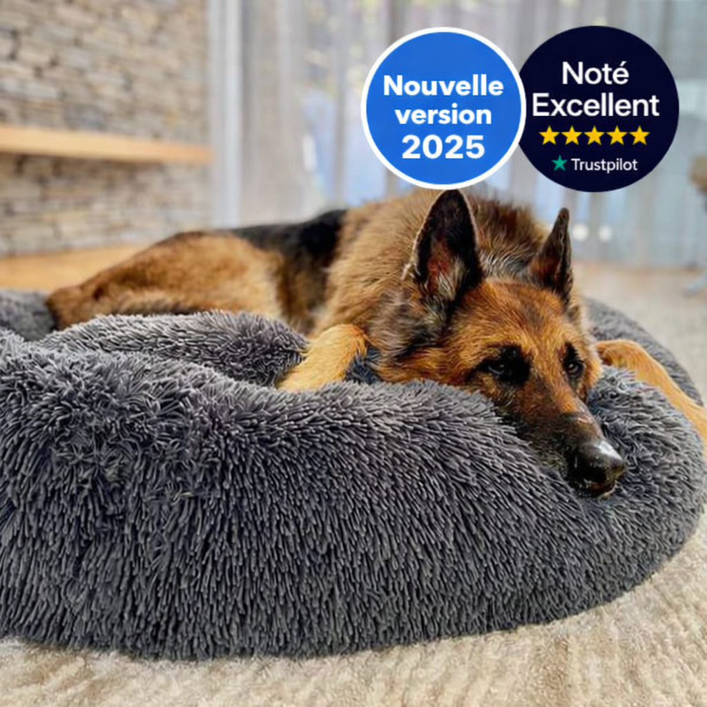 Coussin Apaisant & Hypoallergénique CalmDog